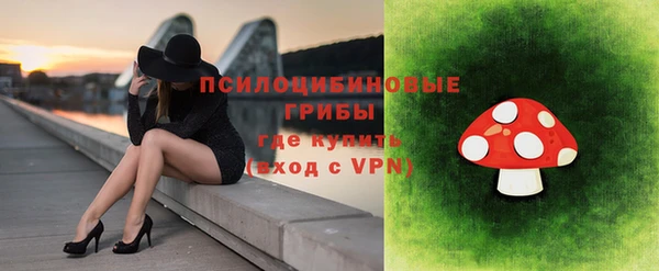 jwh Богородицк