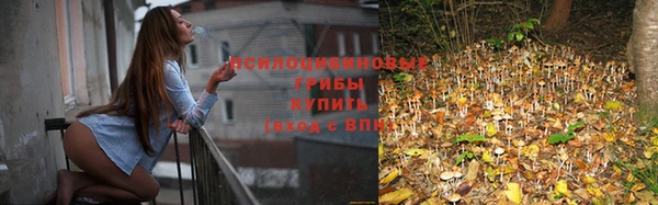 дурь Богородск