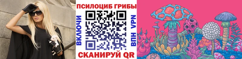 наркота  Нижневартовск  МЕГА маркетплейс  Псилоцибиновые грибы Psilocybine cubensis 